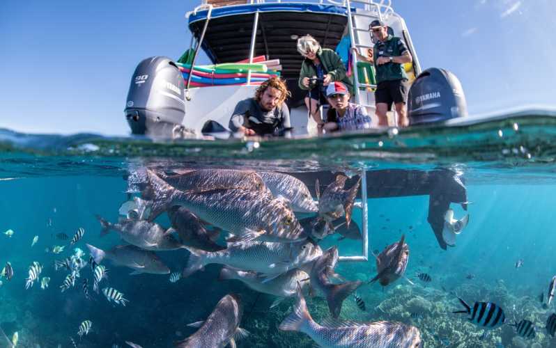 Best Tourist Places in Ningaloo Reef: Top Must-See Attractions