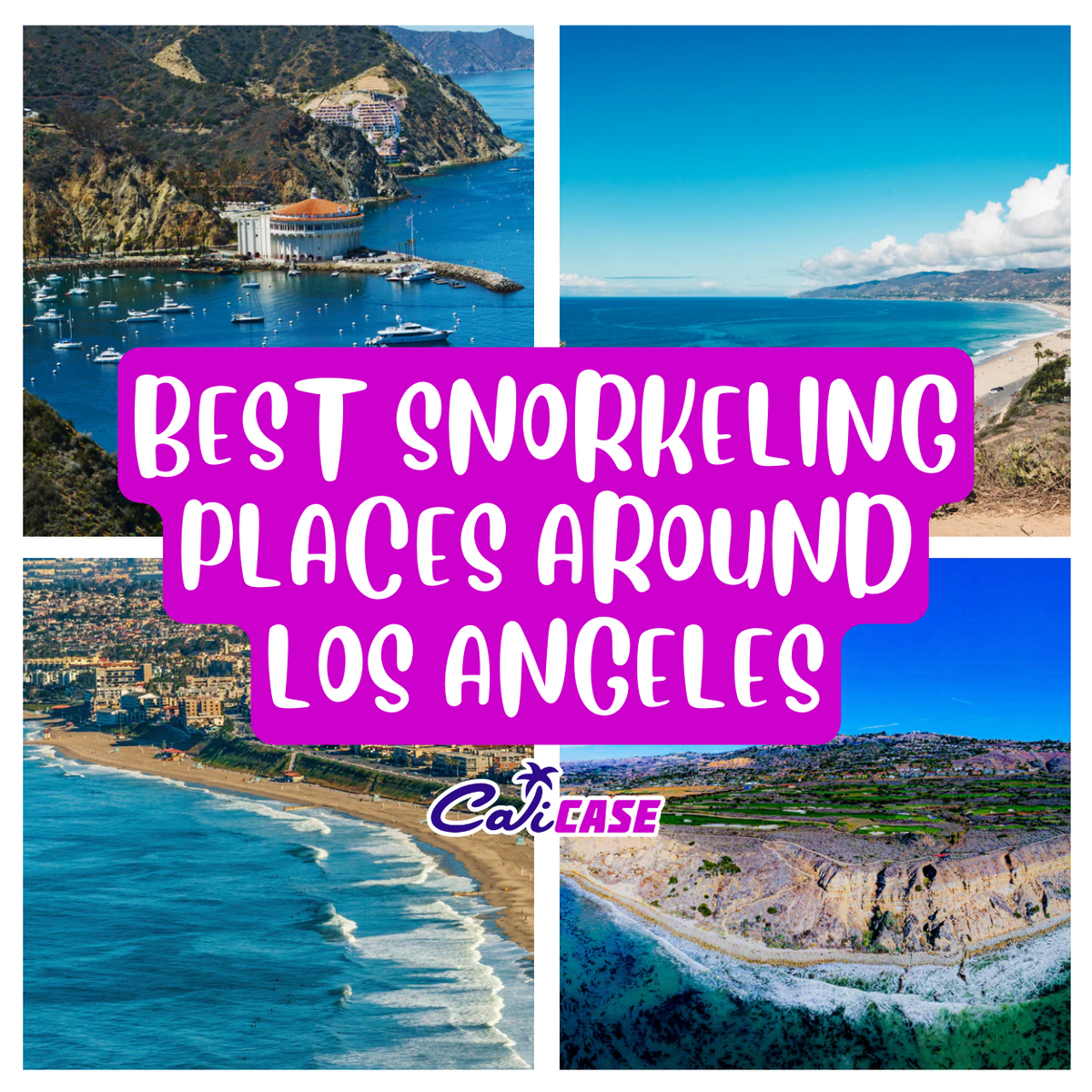 Best Snorkeling Places around Los Angeles CaliCase