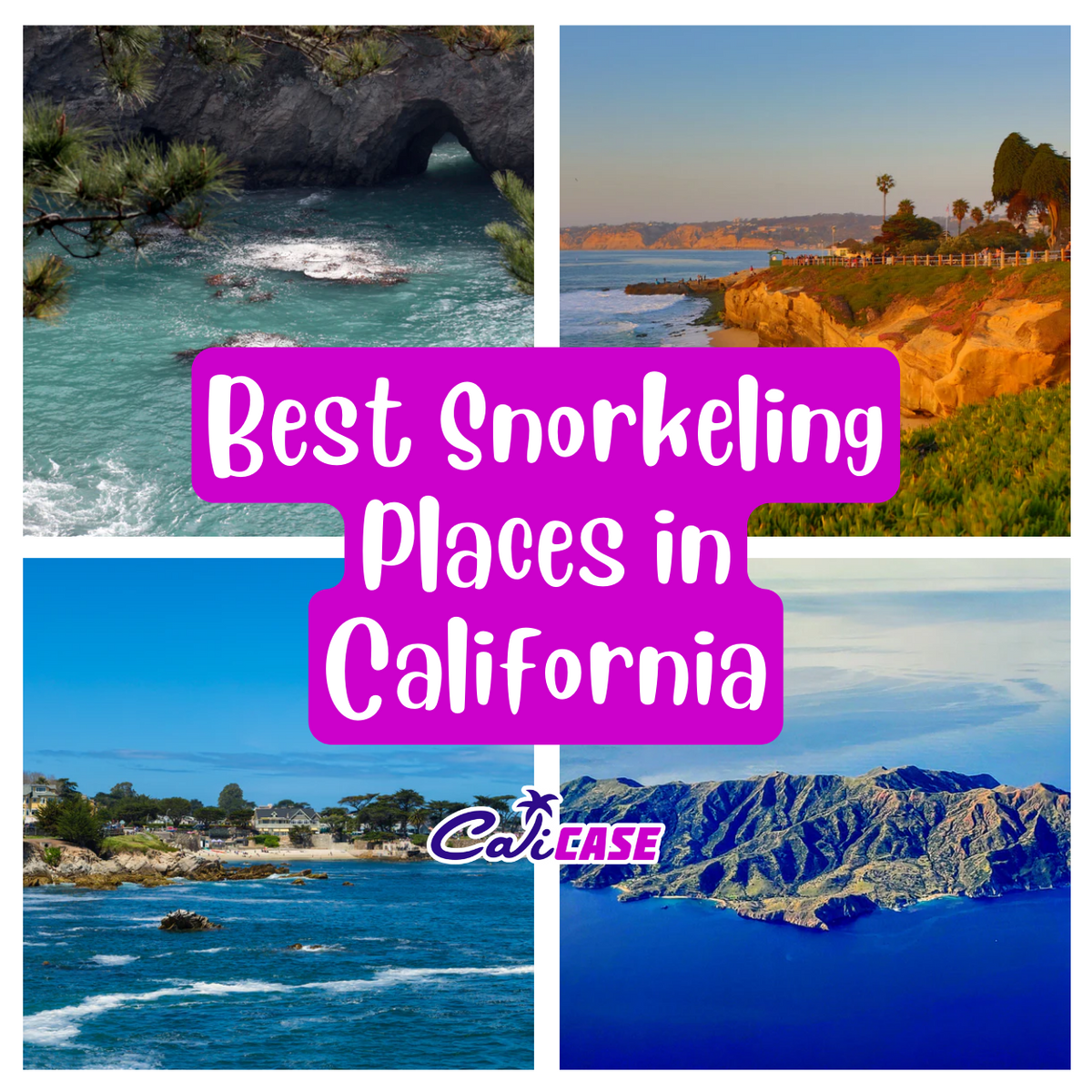 Best Snorkeling Places In California – CaliCase