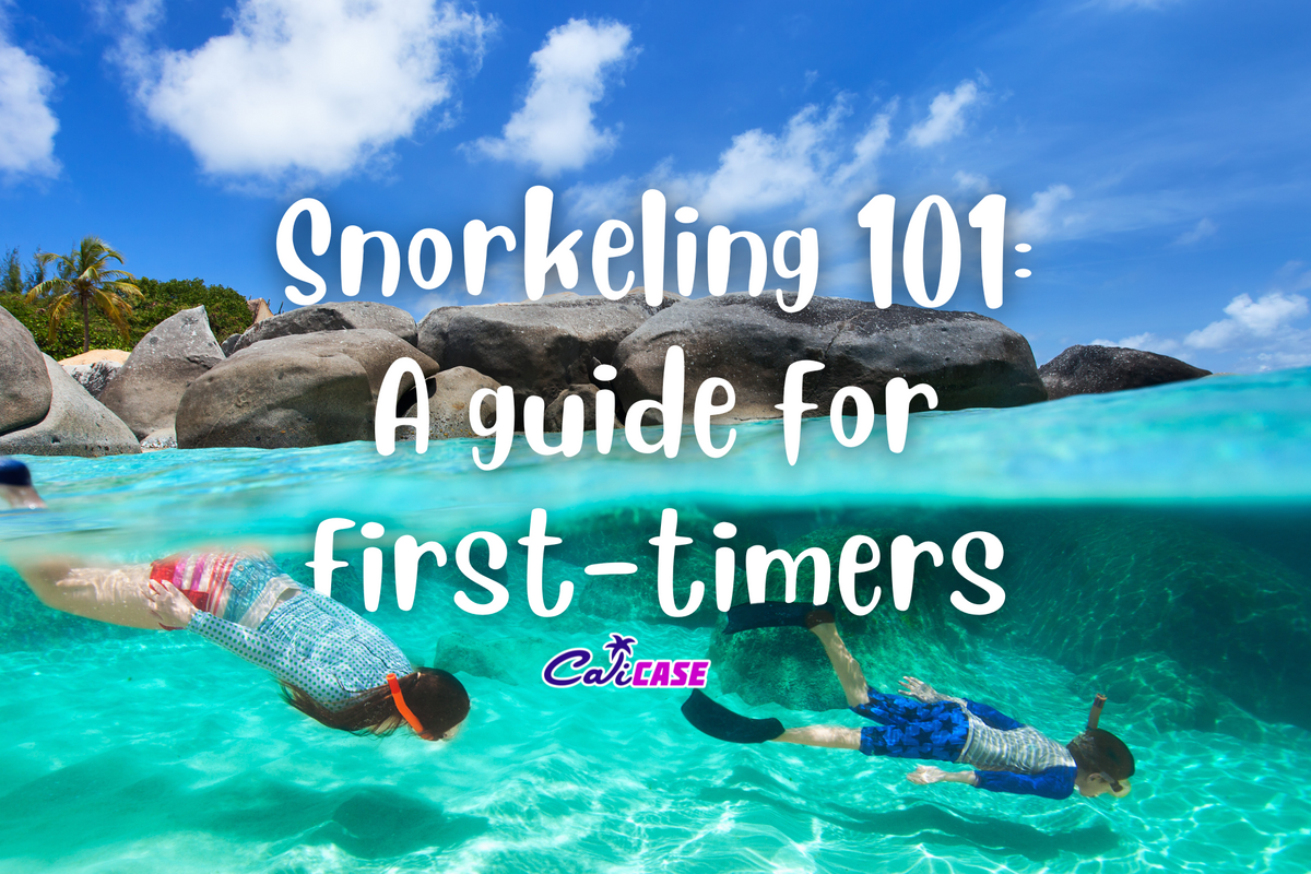 Snorkeling 101: A guide for first-timers – CaliCase