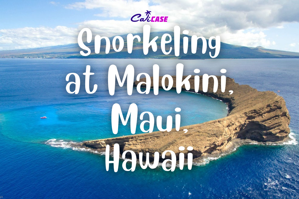 Snorkeling at Malokini, Maui, Hawaii