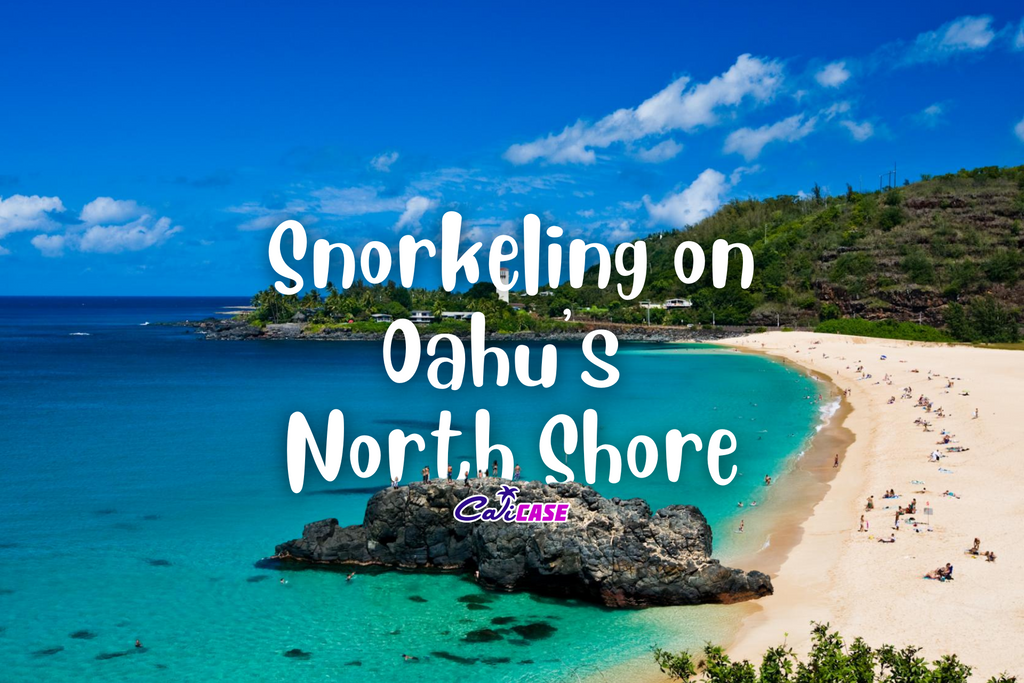 Snorkeling on Oahu's North Shore
