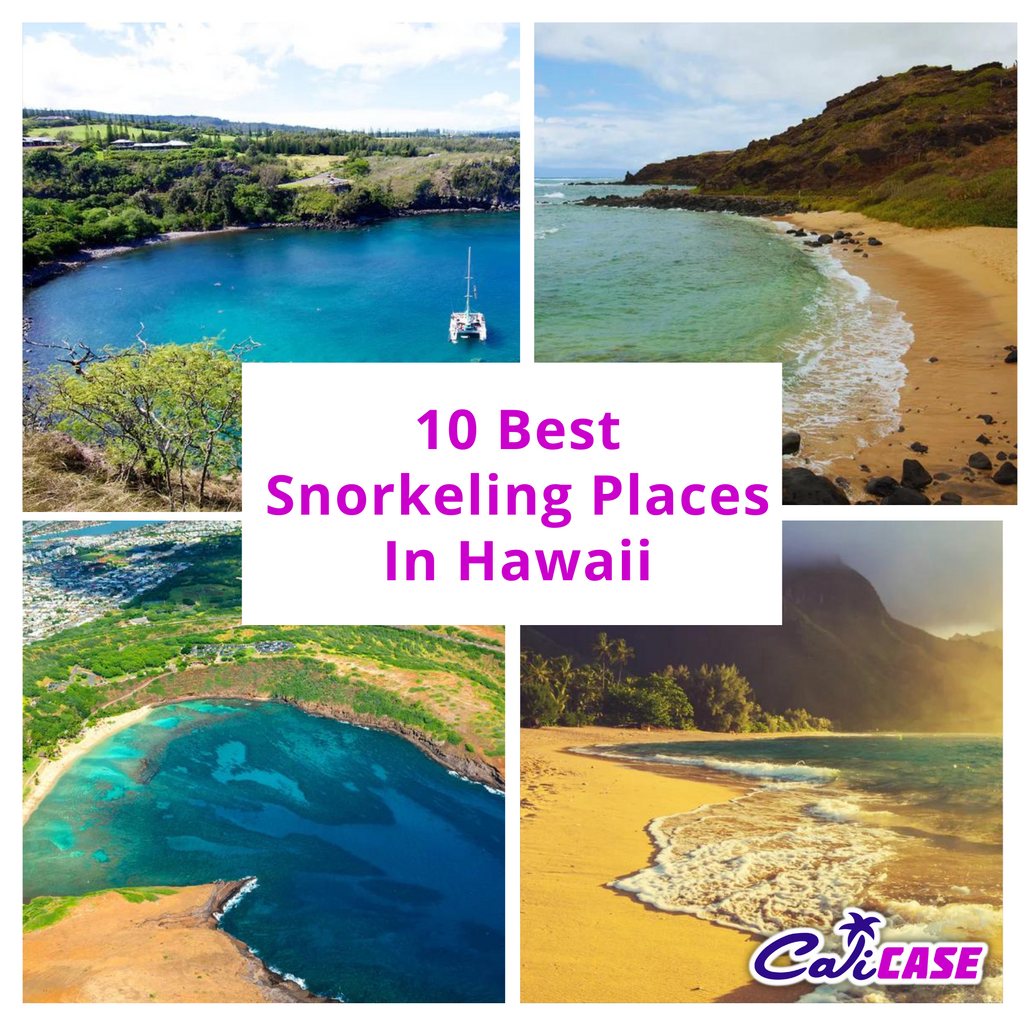 10 Best Snorkeling Places in Hawaii