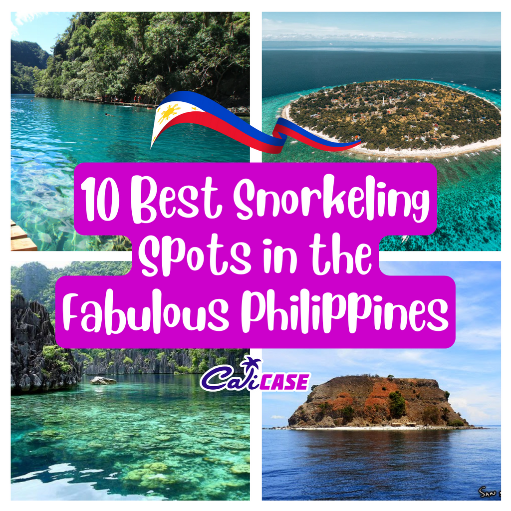 10 Best Snorkeling Spots in the Philippines