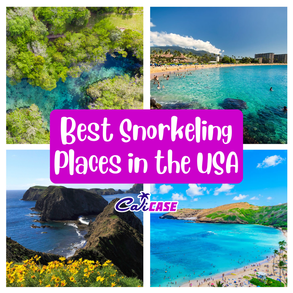 BEST SNORKELING PLACES IN THE USA