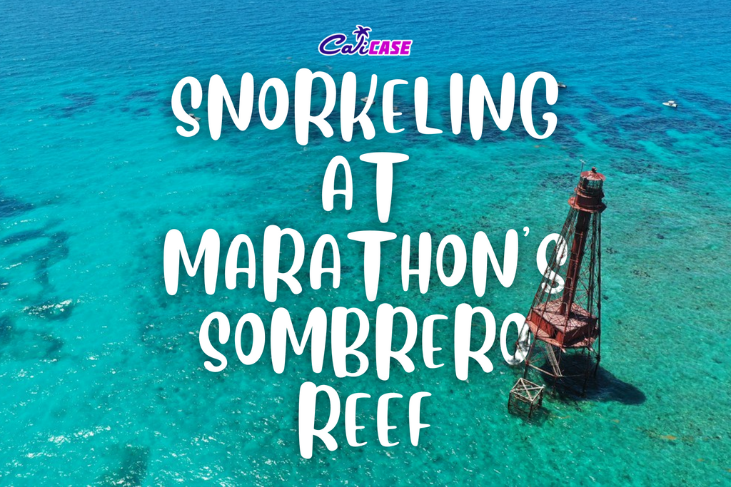 Snorkeling at Marathon's Sombrero Reef