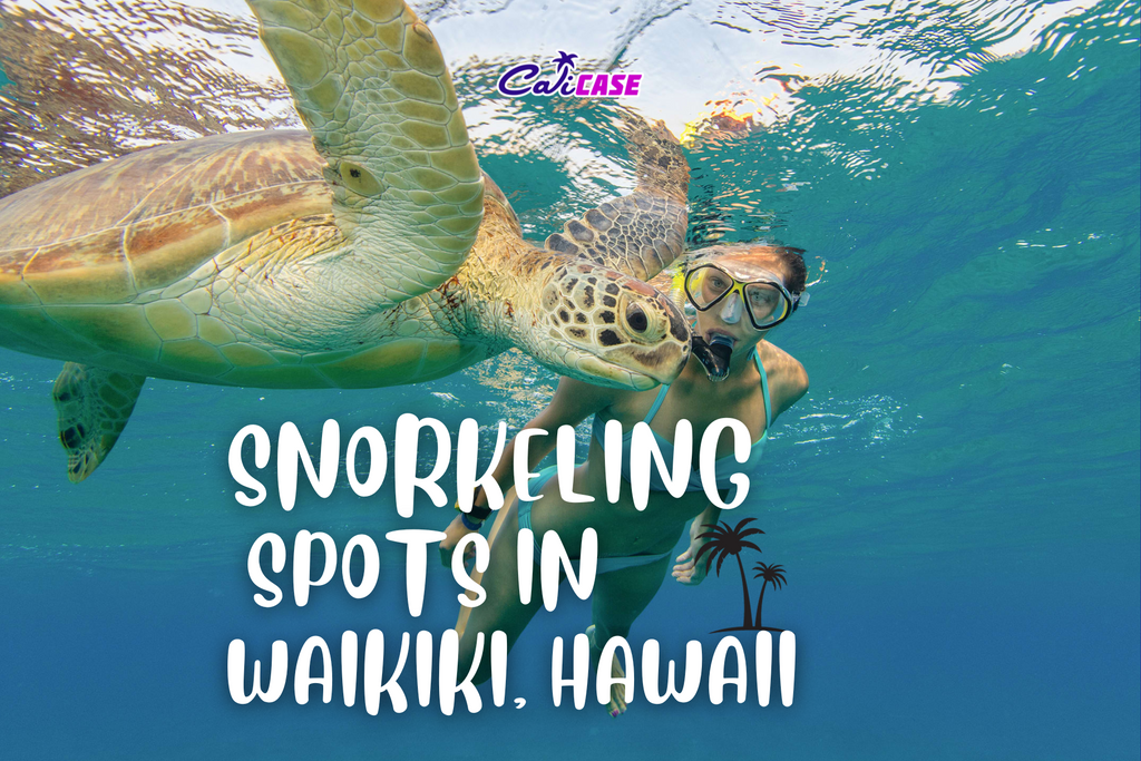 Snorkeling Spots in Waikiki, Hawaii