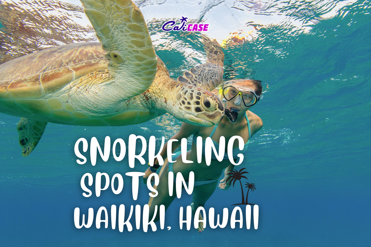 Snorkeling Spots in Waikiki, Hawaii – CaliCase