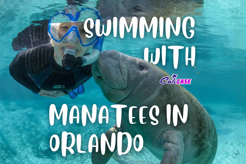 SWIMMING WITH MANATEES IN ORLANDO