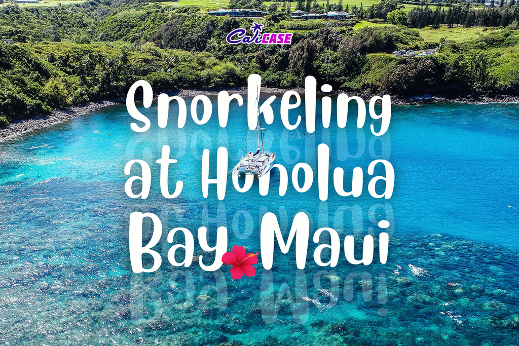 Snorkeling at Honolua Bay, Maui
