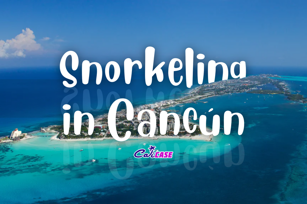 Snorkeling in Cancún
