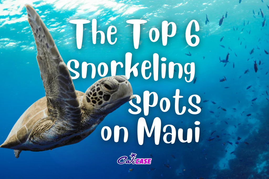 The top 6 snorkeling spots on Maui