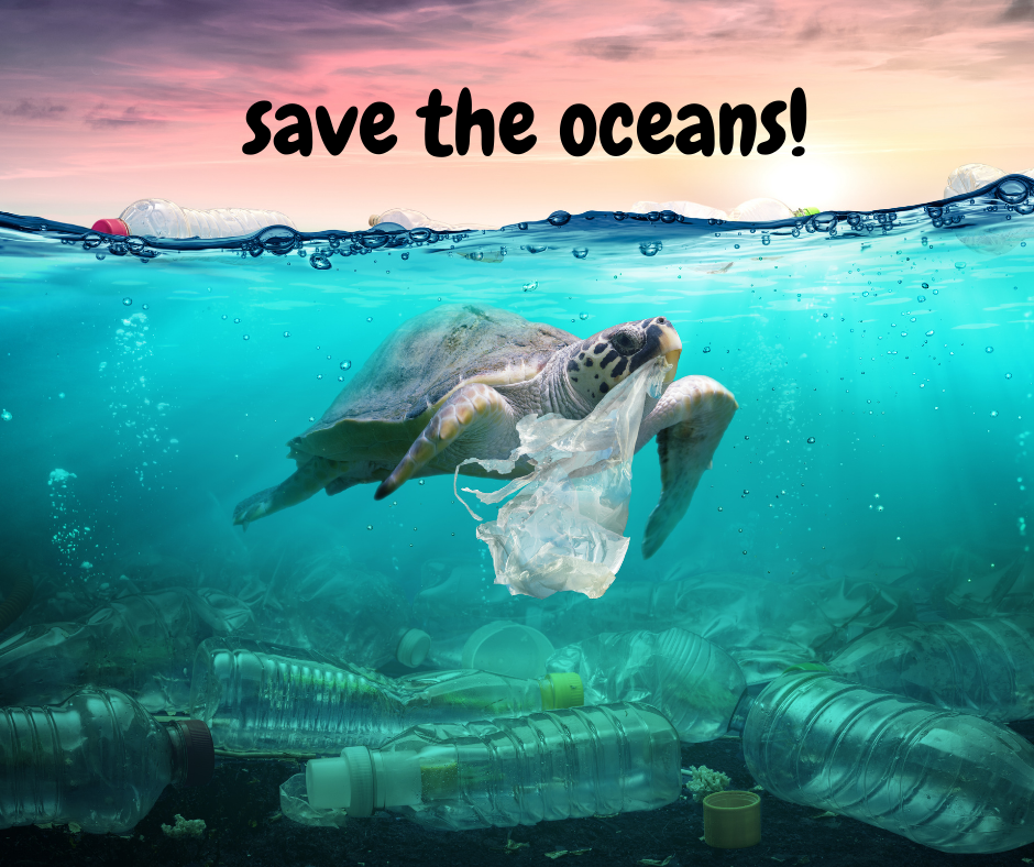 Making Waves with the Ocean Conservancy